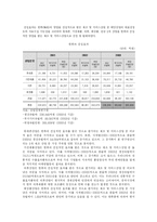 [한류열풍] 한류, 그 영향과 나아가야 할 방향-8