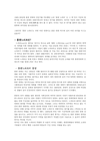 [한류열풍] 한류, 그 영향과 나아가야 할 방향-12