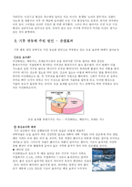 [과학] 이상 기상의 원인과 종류-4