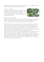[과학] 이상 기상의 원인과 종류-8
