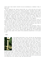 [한국과학사] 조선시대 기상학과 그 의의-6