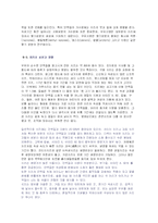 발효식품 레포트-20