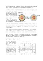 [과학사] 핵폭탄의 실체와 북한을 비롯한 사회 정치적인 핵폭탄의 필요성 논의-7
