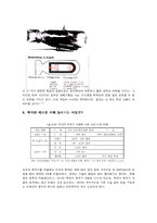 [과학사] 핵폭탄의 실체와 북한을 비롯한 사회 정치적인 핵폭탄의 필요성 논의-9