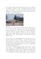 [한국과학사] 시대별 저장방법의 변천사 & 석빙고의 고찰-9