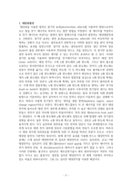 태양광 산업의 미래와 전망-2