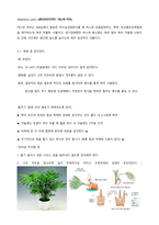 생활 속 식물 재배 및 유지관리-3