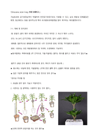 생활 속 식물 재배 및 유지관리-7