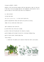 생활 속 식물 재배 및 유지관리-10