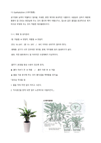 생활 속 식물 재배 및 유지관리-11