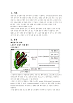 전자전기개론[전동기의 종류와 기본원리]-3