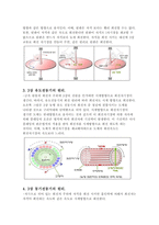 전자전기개론[전동기의 종류와 기본원리]-10