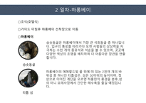 여행상품 기획 - 하롱베이-6