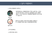 여행상품 기획 - 하롱베이-7