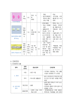 지역사회간호학실습 - 오마하간호과정(척추관협착증) A+-10