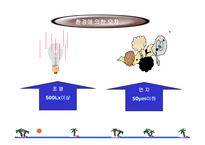 기초측정이론-12