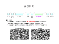 전처리, 전착도장 교육자료-9
