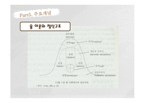 정신역동이론 분석심리이론 융의 생애 인간관 분석심리이론이란 융의 인간관 융 이론의 정신구조 자아와 페르소나 아니마와 아니무스-7