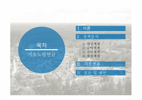 기초노령연금 기초노령연금 소개 기초노령연금법 노인소득보장정책 노인단독가구 기초노령연금 급여-2