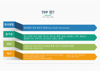 TPP 글로벌경제론 TPP 개요와 개념 TPP 추진배경 TPP 교역현황 TPP와 RCEP 비교 TPP에 관한 한국의 대응-4