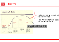 유니클로 의류시장 유니클로 기업분석 유니클로 마케팅 유니클로경영전략 브랜드마케팅 서비스마케팅 글로벌경영 사례분석-9