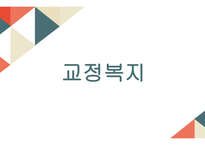교정복지의 개념 교정복지의 기능 교정복지의 필요성 교정복지의 현황 군범죄 소년범죄-1