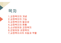 교정복지의 개념 교정복지의 기능 교정복지의 필요성 교정복지의 현황 군범죄 소년범죄-2