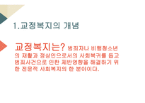 교정복지의 개념 교정복지의 기능 교정복지의 필요성 교정복지의 현황 군범죄 소년범죄-3