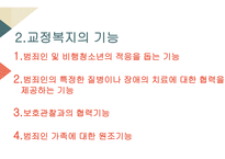교정복지의 개념 교정복지의 기능 교정복지의 필요성 교정복지의 현황 군범죄 소년범죄-4