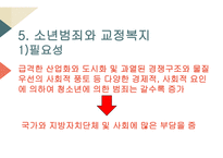 교정복지의 개념 교정복지의 기능 교정복지의 필요성 교정복지의 현황 군범죄 소년범죄-7