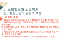 교정복지의 개념 교정복지의 기능 교정복지의 필요성 교정복지의 현황 군범죄 소년범죄-11