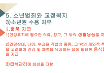 교정복지의 개념 교정복지의 기능 교정복지의 필요성 교정복지의 현황 군범죄 소년범죄-13