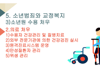 교정복지의 개념 교정복지의 기능 교정복지의 필요성 교정복지의 현황 군범죄 소년범죄-14