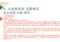 교정복지의 개념 교정복지의 기능 교정복지의 필요성 교정복지의 현황 군범죄 소년범죄-16