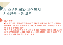 교정복지의 개념 교정복지의 기능 교정복지의 필요성 교정복지의 현황 군범죄 소년범죄-17