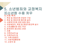 교정복지의 개념 교정복지의 기능 교정복지의 필요성 교정복지의 현황 군범죄 소년범죄-19