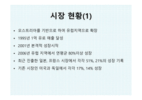 동서식품이 레드불 에너지음료 시장 핫식스 마케팅 레드불 브랜드마케팅 레드불 서비스마케팅 글로벌경영 사례분석 swot-4