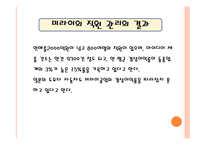 글로벌 메가 트렌드화 글로벌 메가 트렌드화에 따른 기업 전략 조직을 구성하는 구성원 사람을 중시하는 경영.기업의 지적재산권 전쟁 (IBM&FUJITSU)-13
