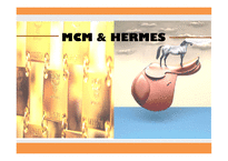 mcm 기업소개 mcm과 에르메스 에르메스 기업소개 mcm 마케팅 mcm 경영전략 mcm 글로벌경영-1