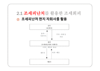 국제조세회피 절세 탈세 조세회피 국제조세회피의 유형 조세피난처 조세조약남용 국제조세회피 방지책-9