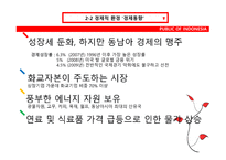 인도네시아 환경 인도네시아 경제적 환경 인도네시아 경제동향 인도네시아 유망산업 및 진출전략 인도네시아 사회적 환경-14