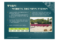 문화역량 문화예술교육 문화역량 비교 예술교육 문화자본 문화역량(미술관) 독일 역량개념 문화역량 개념 미국 문화역량-17