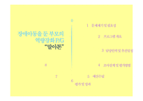 장애아동 부모역할 장애아동 말아톤 장애아동 사회복지 개인적 차원의 문제  부모의 심리 정서적 문제 부모의 경제적문제-2