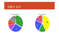 애플의 실적 애플의 디자인 에코 시스템 애플 기업분석 애플 마케팅 애플 브랜드마케팅 서비스마케팅 글로벌경영 사례분석-6