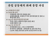 유럽 통화통합 통화통합의 역사 유로화 현황 화폐 통합역사 화폐 통합 과정 유럽통화연맹 국제통화기금 국제경제안정화 기구-6
