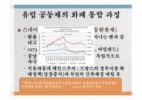 유럽 통화통합 통화통합의 역사 유로화 현황 화폐 통합역사 화폐 통합 과정 유럽통화연맹 국제통화기금 국제경제안정화 기구-9