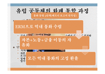 유럽 통화통합 통화통합의 역사 유로화 현황 화폐 통합역사 화폐 통합 과정 유럽통화연맹 국제통화기금 국제경제안정화 기구-10