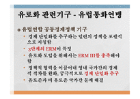 유럽 통화통합 통화통합의 역사 유로화 현황 화폐 통합역사 화폐 통합 과정 유럽통화연맹 국제통화기금 국제경제안정화 기구-16