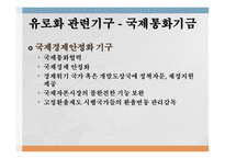 유럽 통화통합 통화통합의 역사 유로화 현황 화폐 통합역사 화폐 통합 과정 유럽통화연맹 국제통화기금 국제경제안정화 기구-17
