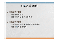 유럽 통화통합 통화통합의 역사 유로화 현황 화폐 통합역사 화폐 통합 과정 유럽통화연맹 국제통화기금 국제경제안정화 기구-20